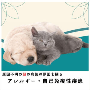 【原因療法】愛犬・愛猫の原因不明の謎の病気の原因を探るセミナー2015 アレルギー・自己免疫性疾患編  (129分)