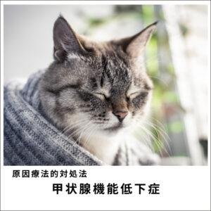 愛犬・愛猫の甲状腺機能低下症2020　(76分)
