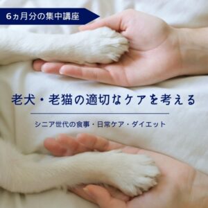 【6ヵ月分集中講座】老犬・老猫の適切なケアを考える – シニア世代の食事・日常ケア・ダイエット  –
