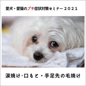 愛犬・愛猫のプチ症状対策セミナー 2021　涙焼け・口もと・手足先の毛焼け　(100分)