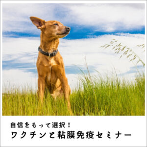 自信をもって選択！ワクチンと粘膜免疫セミナー2024 　(174分)